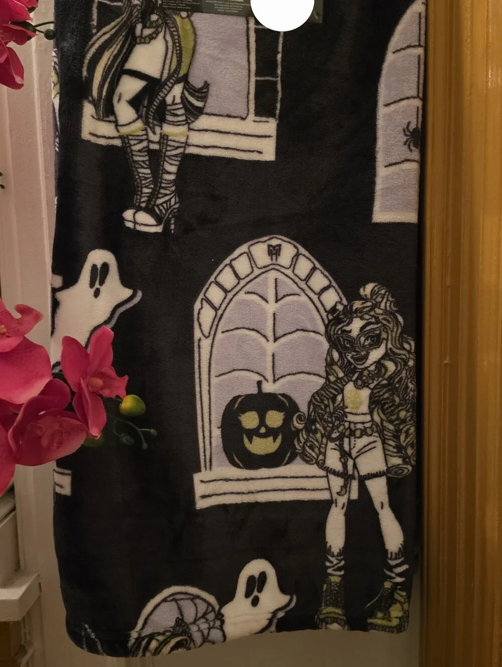 Monster High Halloween Gothic Window Plush Throw Blanker